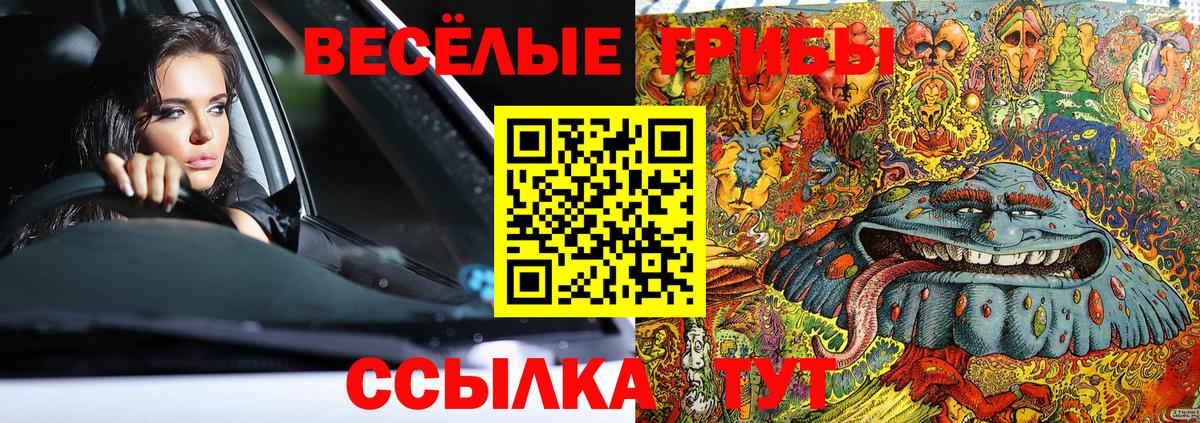 Галлюциногенные грибы прущие грибы  Вход с VPN  Чистополь 